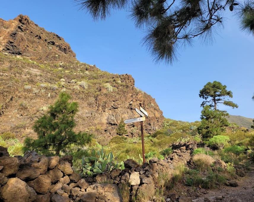 Hikers Haven Courtyard Apartment Tamaimo Tenerife El Molledo Exteriér fotografie